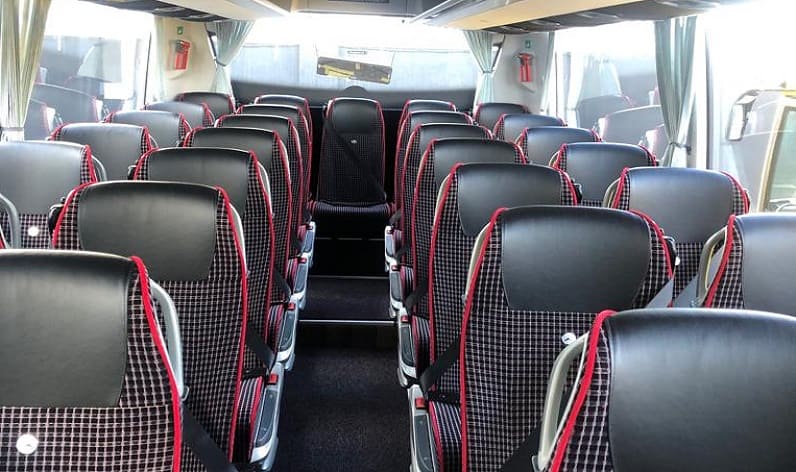 Germany: Coach booking in Baden-Württemberg in Baden-Württemberg and Ehingen